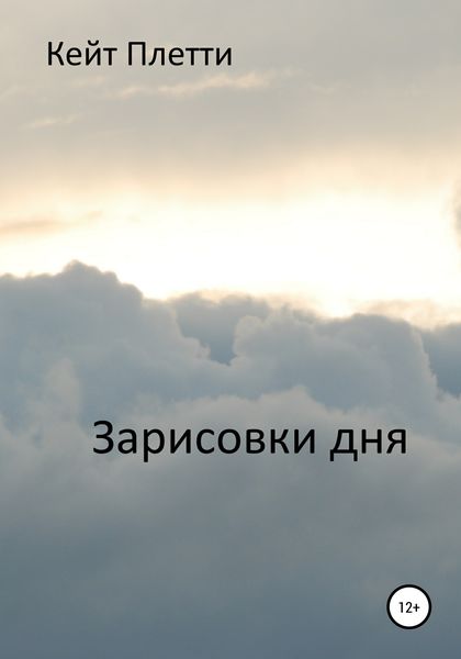 Обложка книги  «Зарисовки дня»