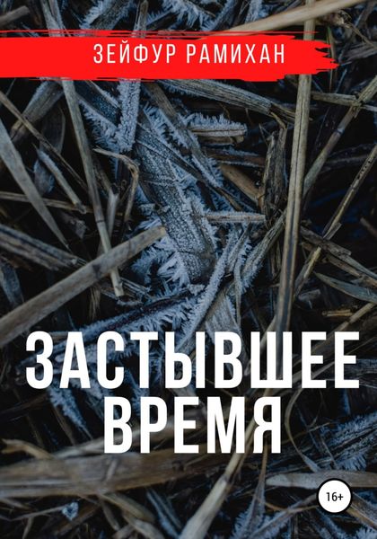 Обложка книги  «Застывшее время»