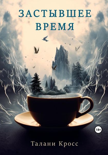 Обложка книги  «Застывшее время»