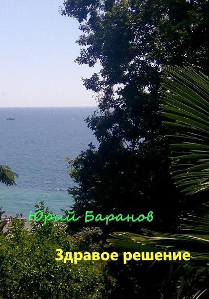 Обложка книги  «Здравое решение»