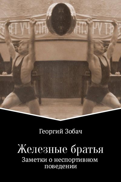 Обложка книги  «Железные братья»