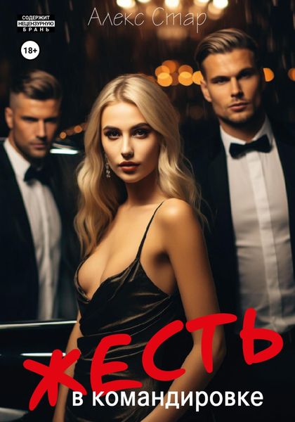 Обложка книги  «Жесть в командировке»
