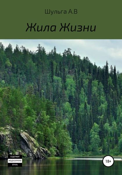 Обложка книги  «Жила Жизни»
