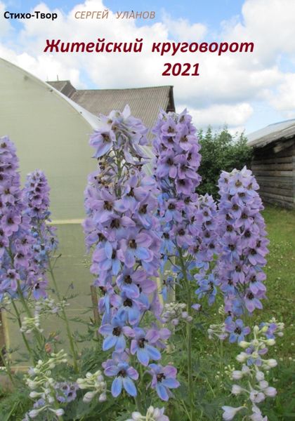Обложка книги  «Житейский круговорот 2021»