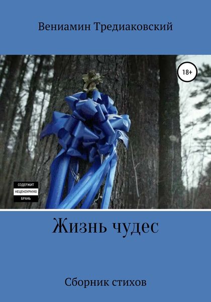 Обложка книги  «Жизнь чудес»