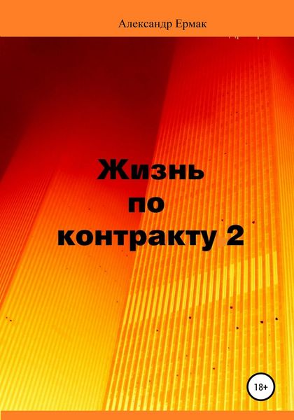 Обложка книги  «Жизнь по контракту 2. Территория ВЮГО»