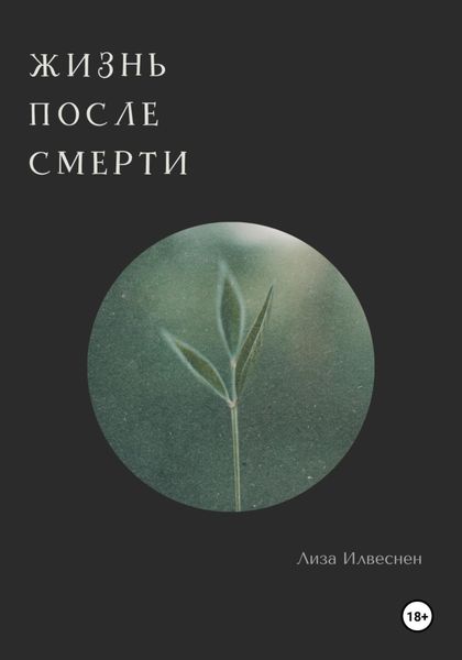 Обложка книги  «Жизнь после смерти»
