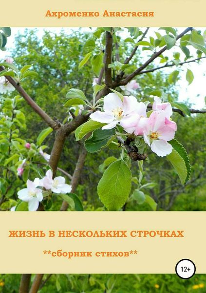 Обложка книги  «Жизнь в нескольких строчках»