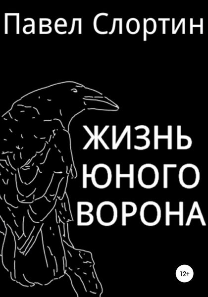 Обложка книги  «Жизнь юного ворона»