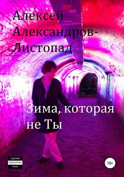 Обложка книги  «Зима, которая не ты»