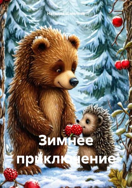 Обложка книги  «Зимнее приключение»