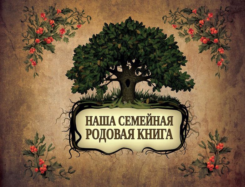 Обложка книги  «Большая родословная книга нашей семьи. Наша семейная родовая книга»