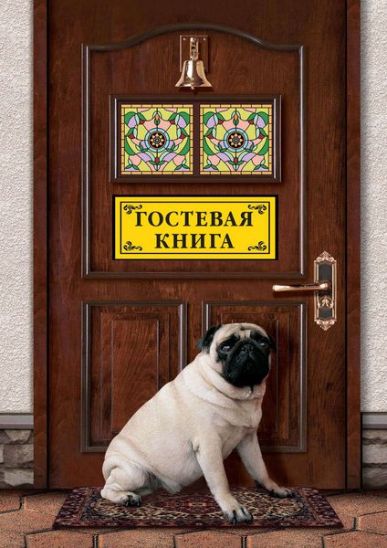 Обложка книги  «Гостевая книга»