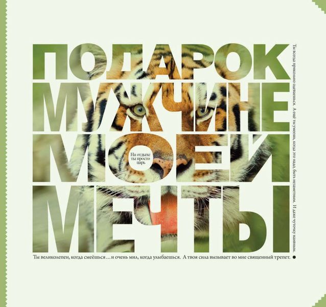 Обложка книги  «Подарок мужчине моей мечты»