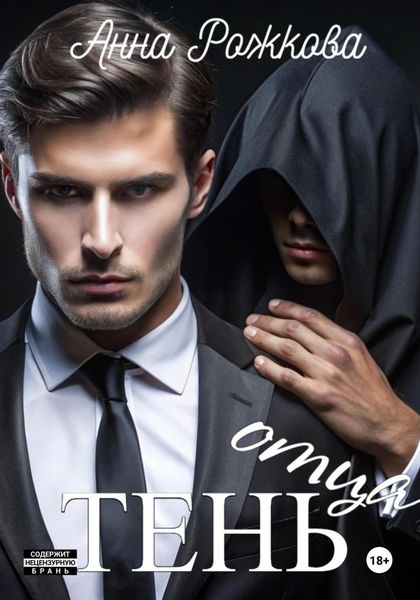 Обложка книги  «Тень отца»