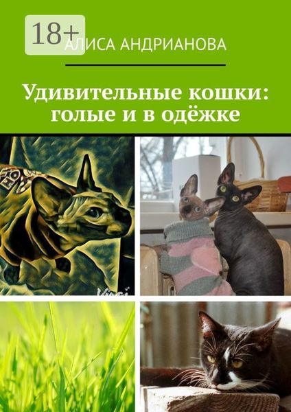 Обложка книги  «Удивительные кошки: голые и в одёжке. Сказка для взрослых детей»