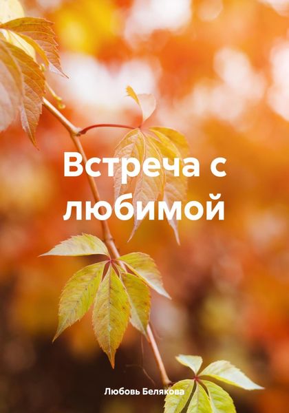 Обложка книги  «Встреча с любимой»