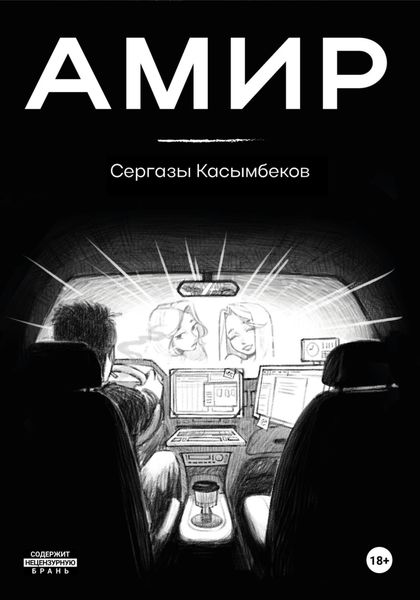 Обложка книги «Амир»