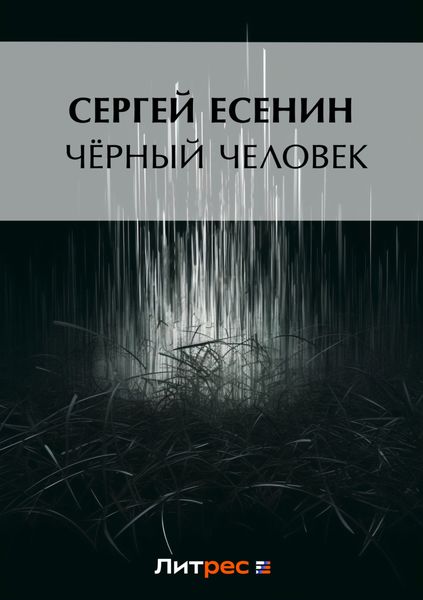 Обложка книги  «Черный человек»