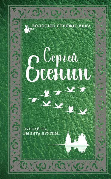 Обложка книги «Пускай ты выпита другим…»