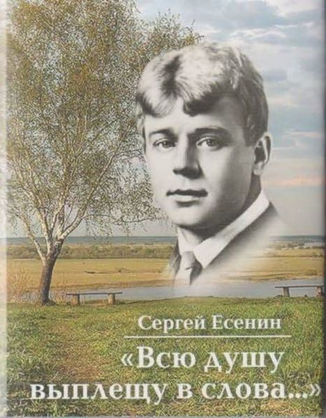 Обложка книги «Всю душу выплещу в слова…»