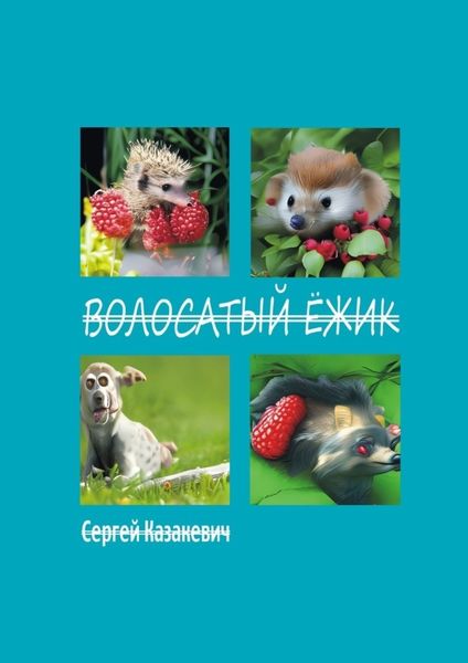 Обложка книги «Волосатый ёжик»