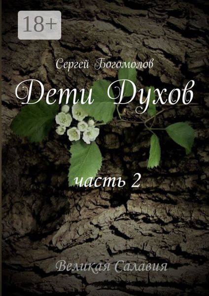 Обложка книги  «Дети Духов. Часть 2»