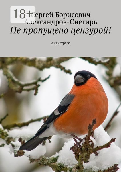 Обложка книги  «Не пропущено цензурой! Антистресс»
