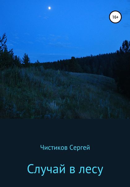 Обложка книги  «Случай в лесу»