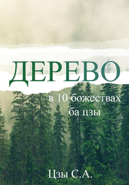 Обложка книги «Дерево в 10 божествах ба цзы»