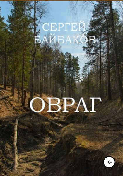 Обложка книги  «Овраг»