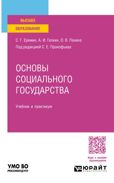 Обложка книги  «Основы социального государства. Учебник и практикум для вузов»