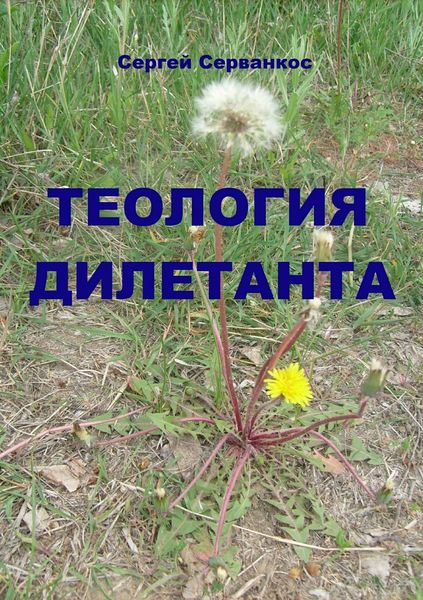 Обложка книги  «Теология дилетанта»