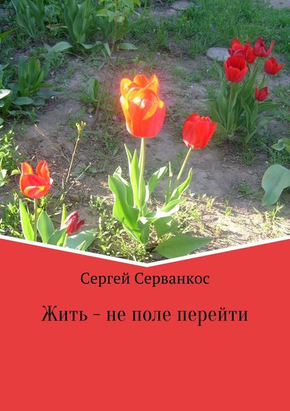 Обложка книги  «Жить – не поле перейти. Сборник»
