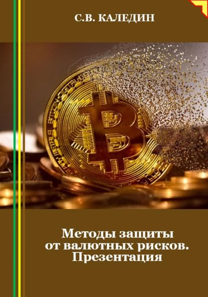 Обложка книги  «Методы защиты от валютных рисков. Презентация»