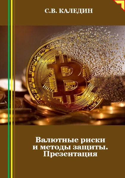 Обложка книги  «Валютные риски и методы защиты. Презентация»