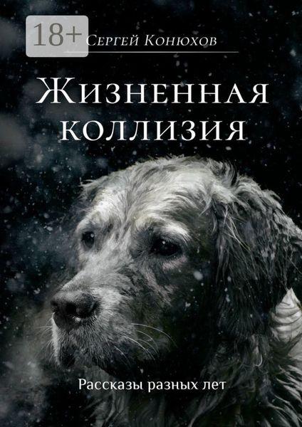 Обложка книги «Жизненная коллизия»