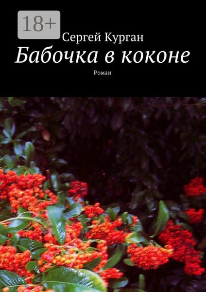 Обложка книги  «Бабочка в коконе. Роман»