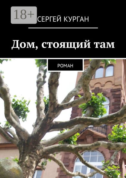 Обложка книги  «Дом, стоящий там. Роман»