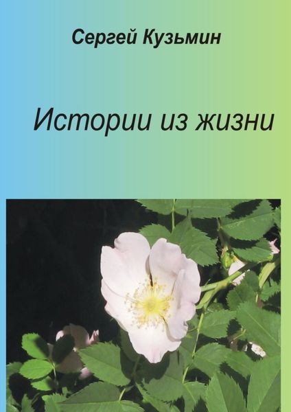 Обложка книги  «Истории из жизни»