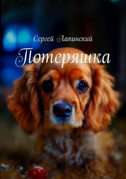 Обложка книги «Потеряшка»