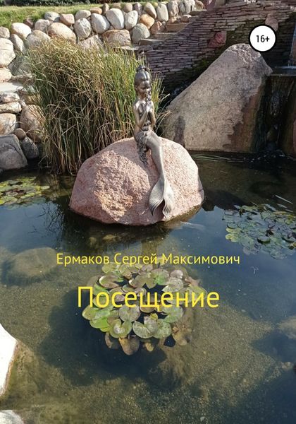 Обложка книги  «Посещение»