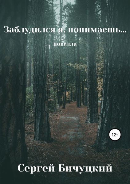 Обложка книги  «Заблудился я, понимаешь…»