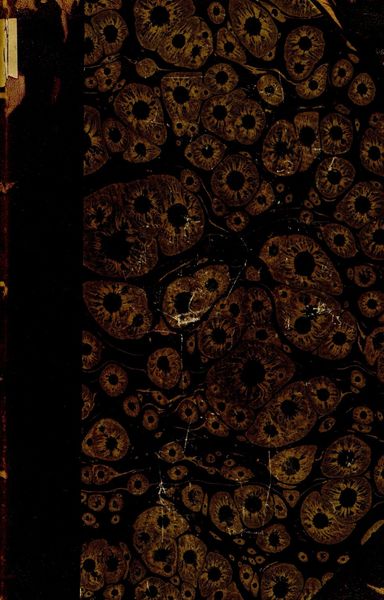 Обложка книги  «История России с древнейших времен. Книга 5. Том XXI-XXV»