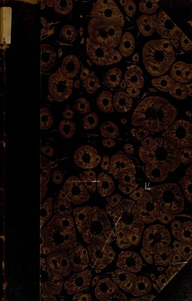 Обложка книги  «История России с древнейших времен. Книга 6. Том XXVI-XXIX»