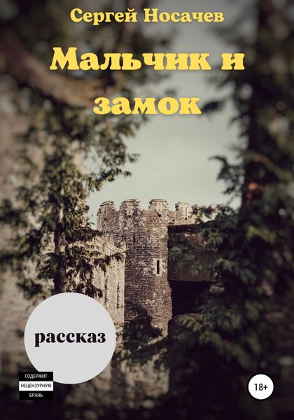 Обложка книги  «Мальчик и замок»