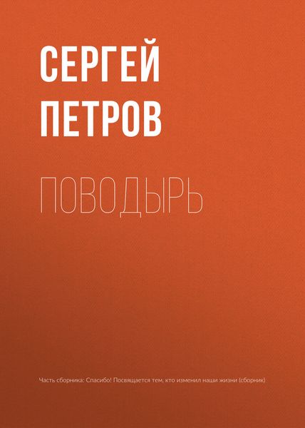 Обложка книги «Поводырь»
