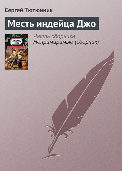 Обложка книги  «Месть индейца Джо»