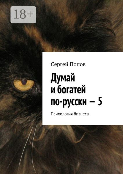 Обложка книги «Думай и богатей по-русски – 5. Психология бизнеса»