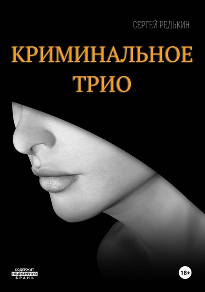 Обложка книги  «Криминальное трио»
